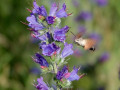 06-DSC03001-