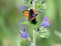 08-DSC03023-