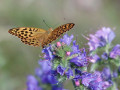 09-DSC03098-