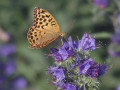 10-DSC03088-