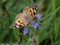 15-DSC03058-