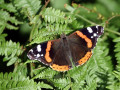 16-DSC03299-