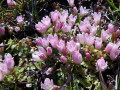 19-DSC02732-T