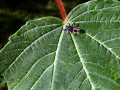 22-DSC02642-