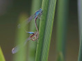 27-DSC02947-