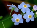 29-DSC03549-