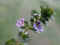 30-DSC03125-