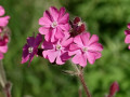 31-DSC03193-