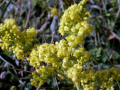 33-DSC03312-