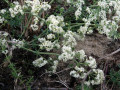 34-DSC03415-