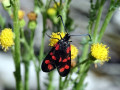 35-DSC03391-