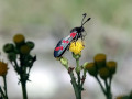 37-DSC03401-
