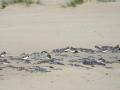 06-DSC07012-