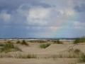 11-DSC07097-