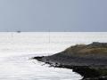18-DSC06893-.