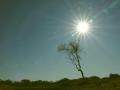 18-DSC08516-Oosterveld.