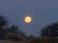 001 DSC07615 Volle maan, Vinkenbaandrift.