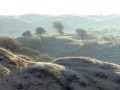 005 DSC07653 Stirumvallei.