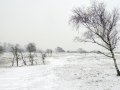 010 DSC07722.