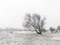 014 DSC07746 Berk, De Zilk.