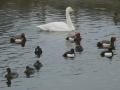 02-DSC09030-