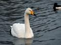 05-DSC09036-