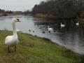 06-DSC09219-