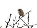 07-DSC09146-
