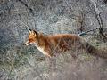 08-DSC09053-