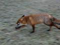 09-DSC09061-