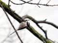 10-DSC09191-
