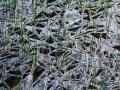 17-DSC08724-