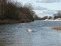 29-DSC09358-
