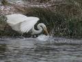 32-DSC09330-