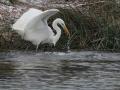 33-DSC09331-