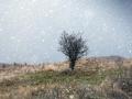 42-DSC09585-