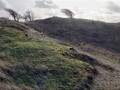 01-DSC00801-
