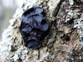 02-DSC00945-