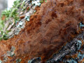 05-DSC00949-