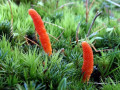 06-DSC01003-