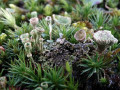 07-DSC01009-