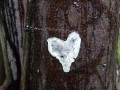 08-DSC00450-