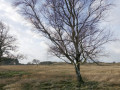 09-DSC00816-