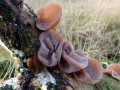10-DSC00812-