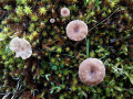 11-DSC01023-