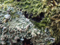 21-DSC01018-