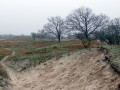 22-DSC01337-