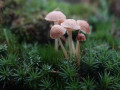 27-DSC01361-