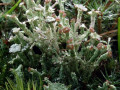 28-DSC01364-