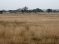 31-DSC01403-